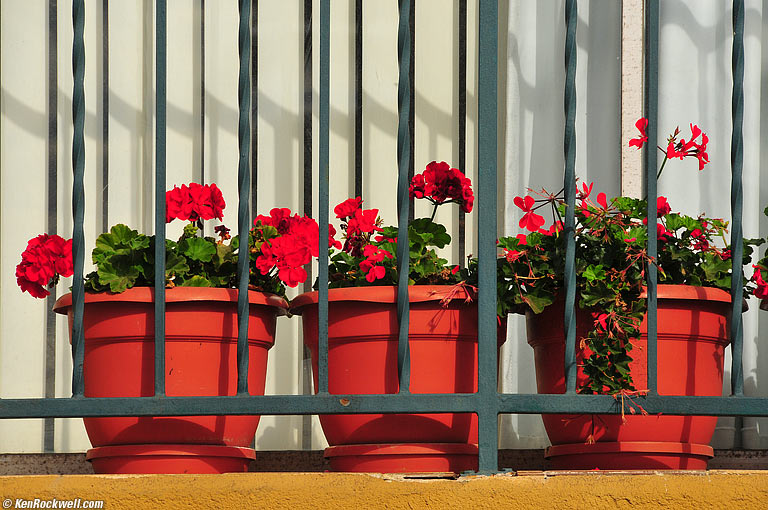 Planters, La Jolla, California.