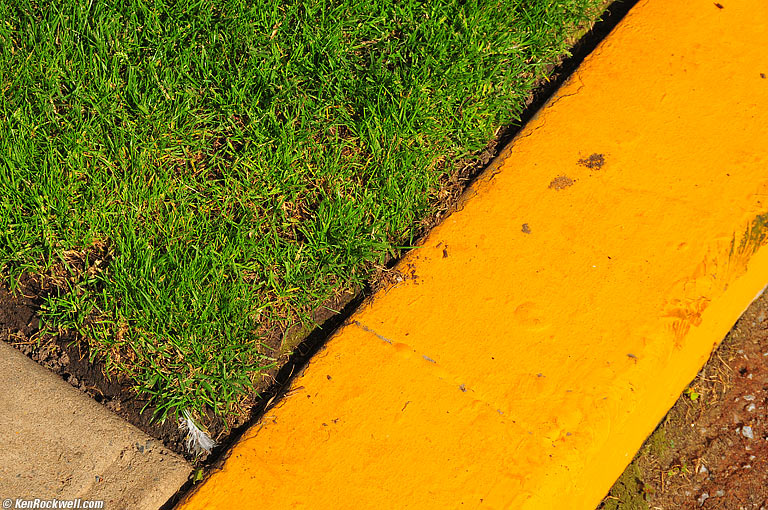 Curb, La Jolla, California.