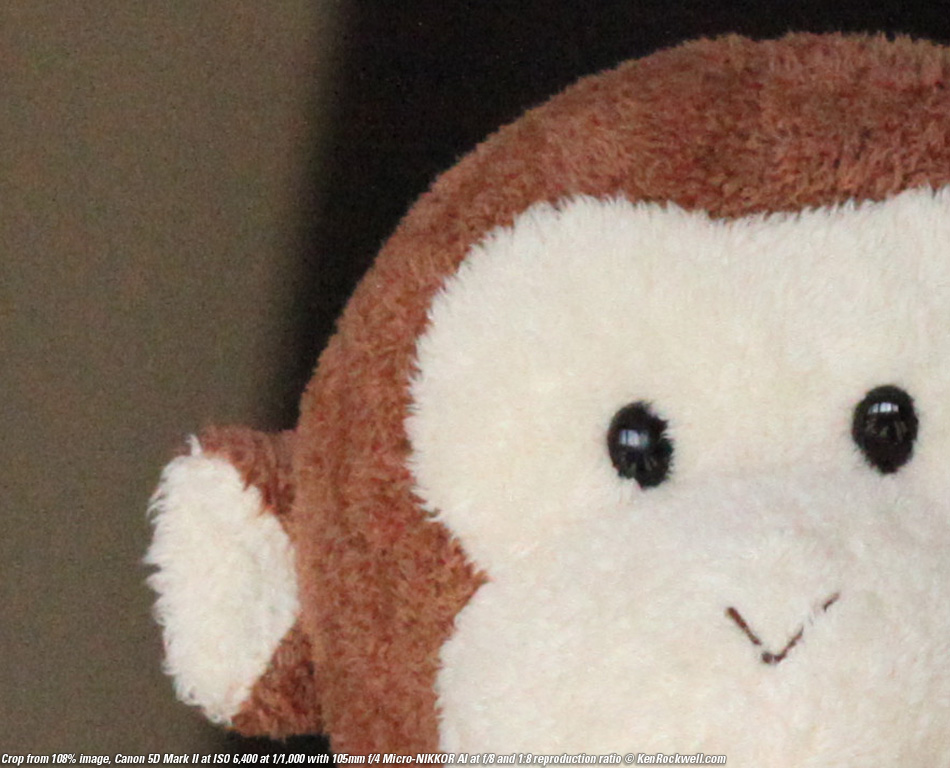 Canon 5D MArk II at ISO 3,200