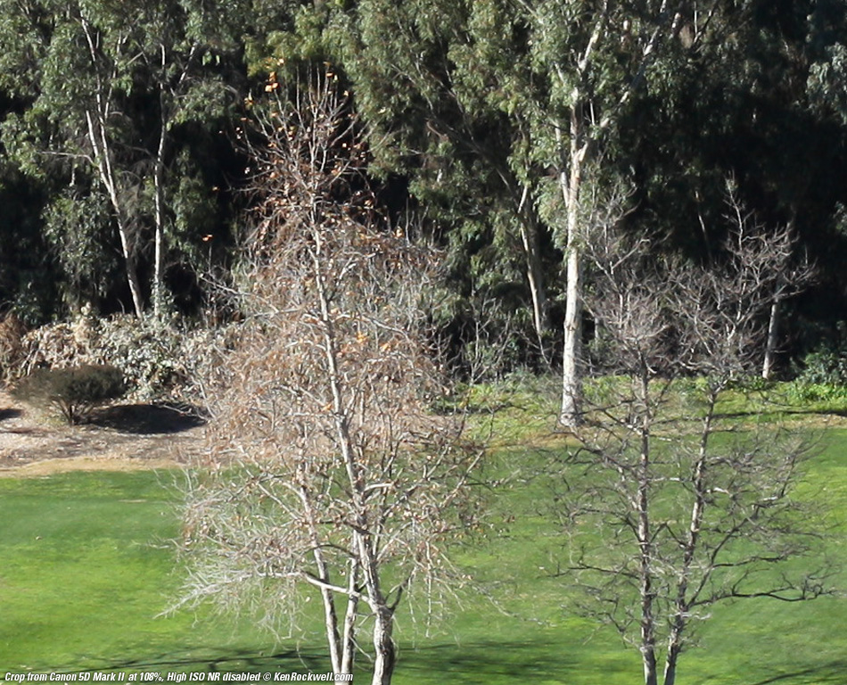 Canon 5D Mark II, NR disabled