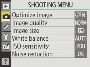 Nikon D40 Shooting Menu