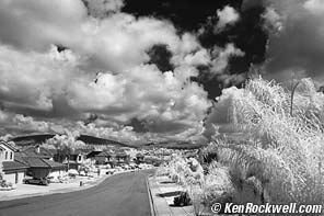 D50 Infrared
