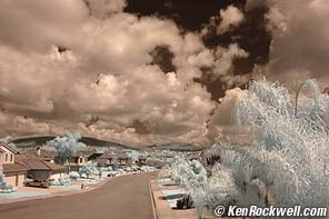 D50 Infrared
