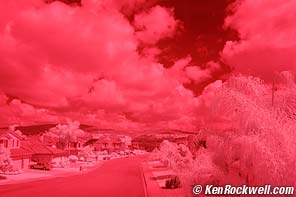 D50 Infrared