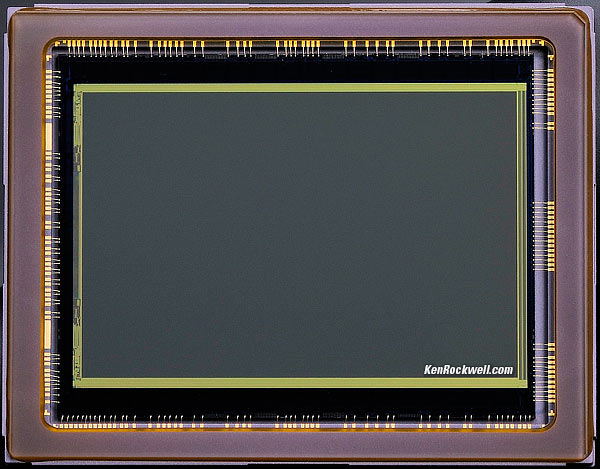 Nikon D610 Sensor