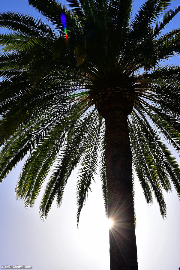 Palm, RP, 09 April 2015