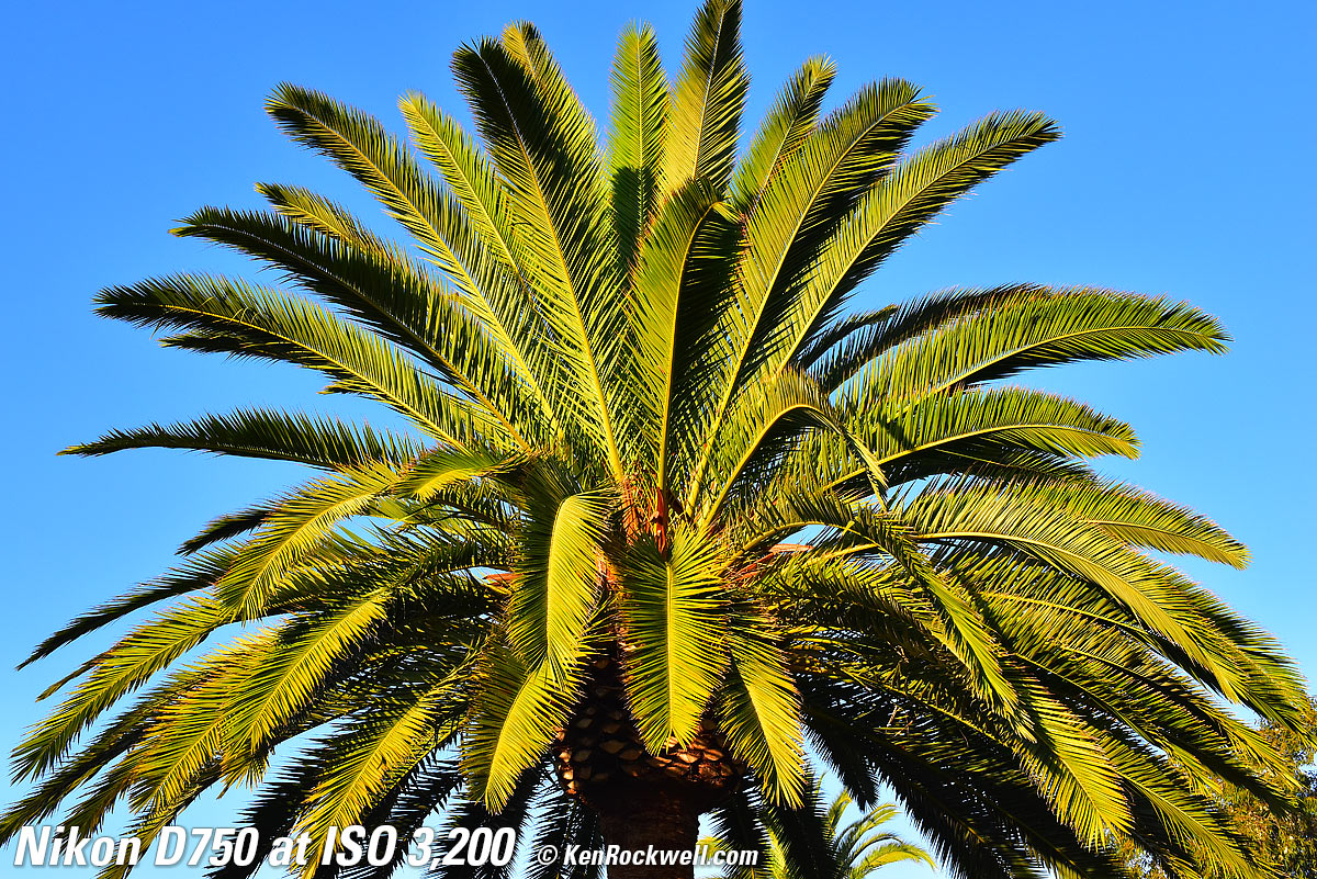 Nikon D750 at ISO 3,200
