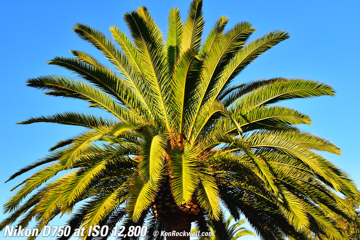 Nikon D750 at ISO 12,800