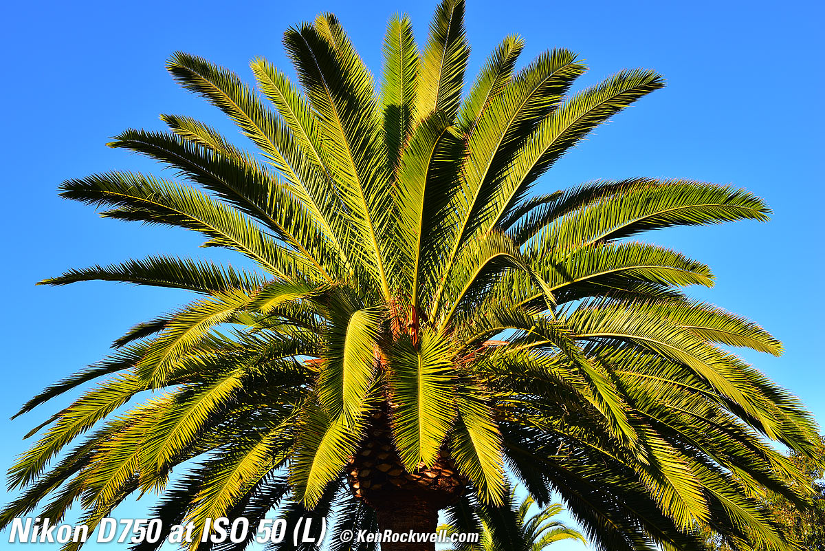 Nikon D750 at ISO 50