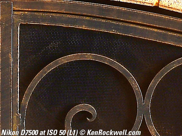 Nikon D7500 High ISO sample image file