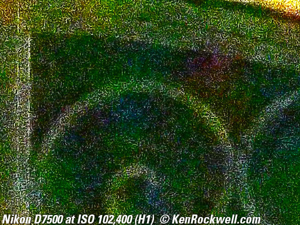 Nikon D7500 High ISO sample image file