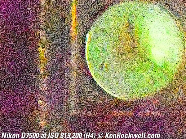 Nikon D7500 High ISO sample image file