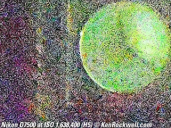 Nikon D7500 High ISO sample image file