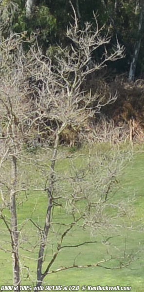 Nikon D800 Moir&eacute;