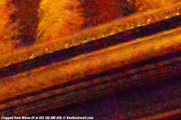 Nikon DF at ISO 102,400 (H3)