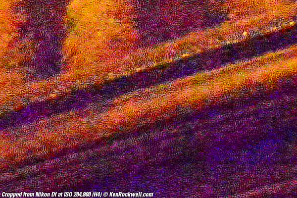 Nikon DF at ISO 204,800 (H4)