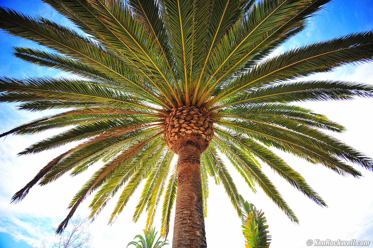 Nikon 10-20mm shot on full frame