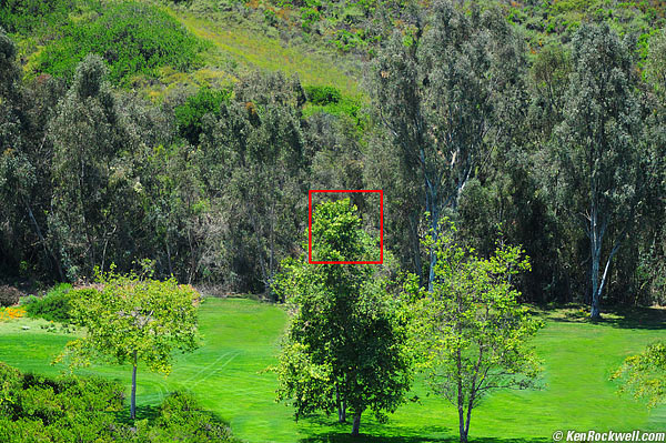 Guide Image, Ja Lolla Beach and Tennis Club