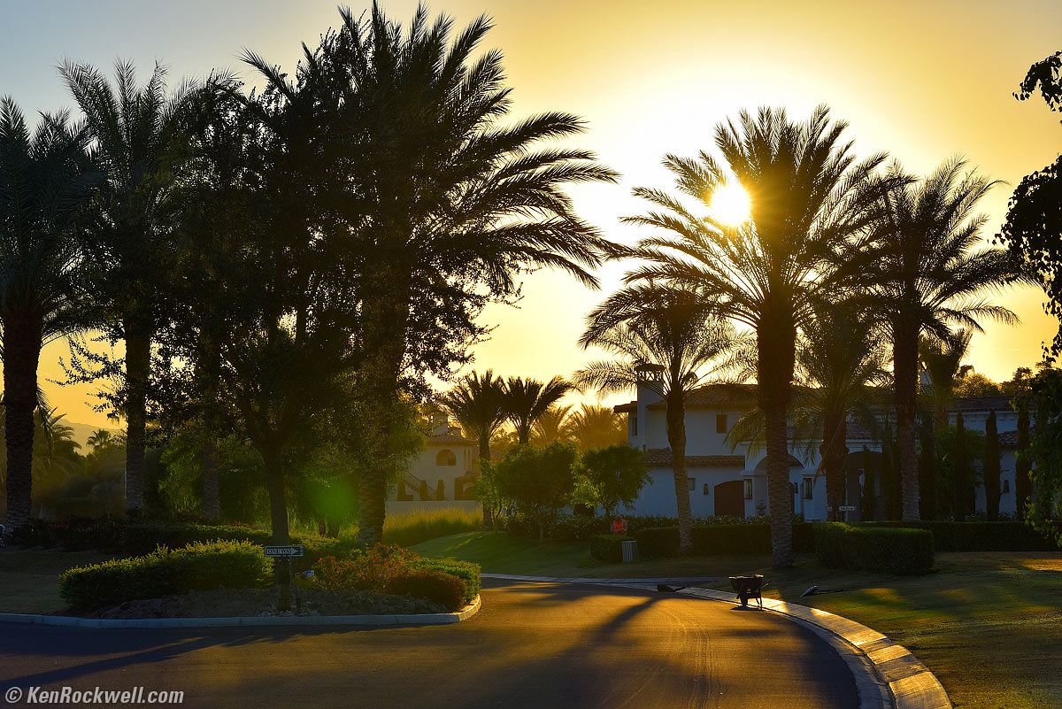 Nikon 105mm f/1.4 sample image file