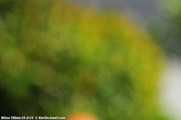 Nikon 105mm f/4