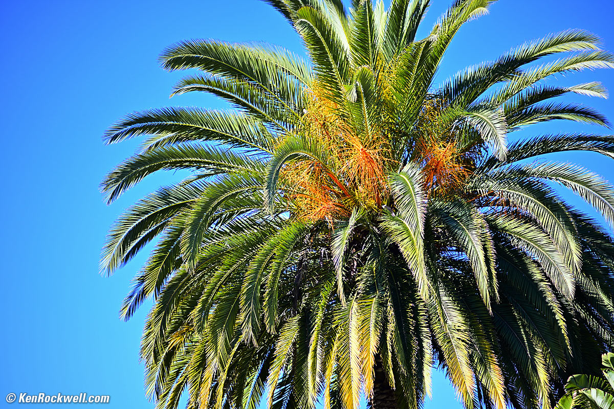 Nikon 135mm f/2 AI-s Sample Image