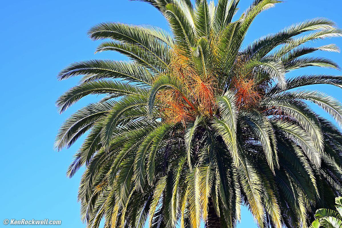 Nikon 135mm f/2 AI-s Sample Image