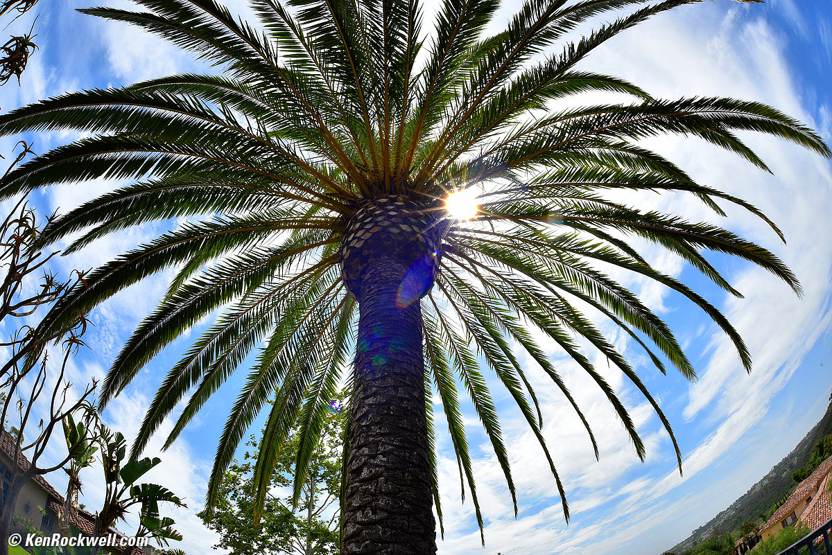 Nikon 16mm f/3.5 fisheye ghosts and sunstars