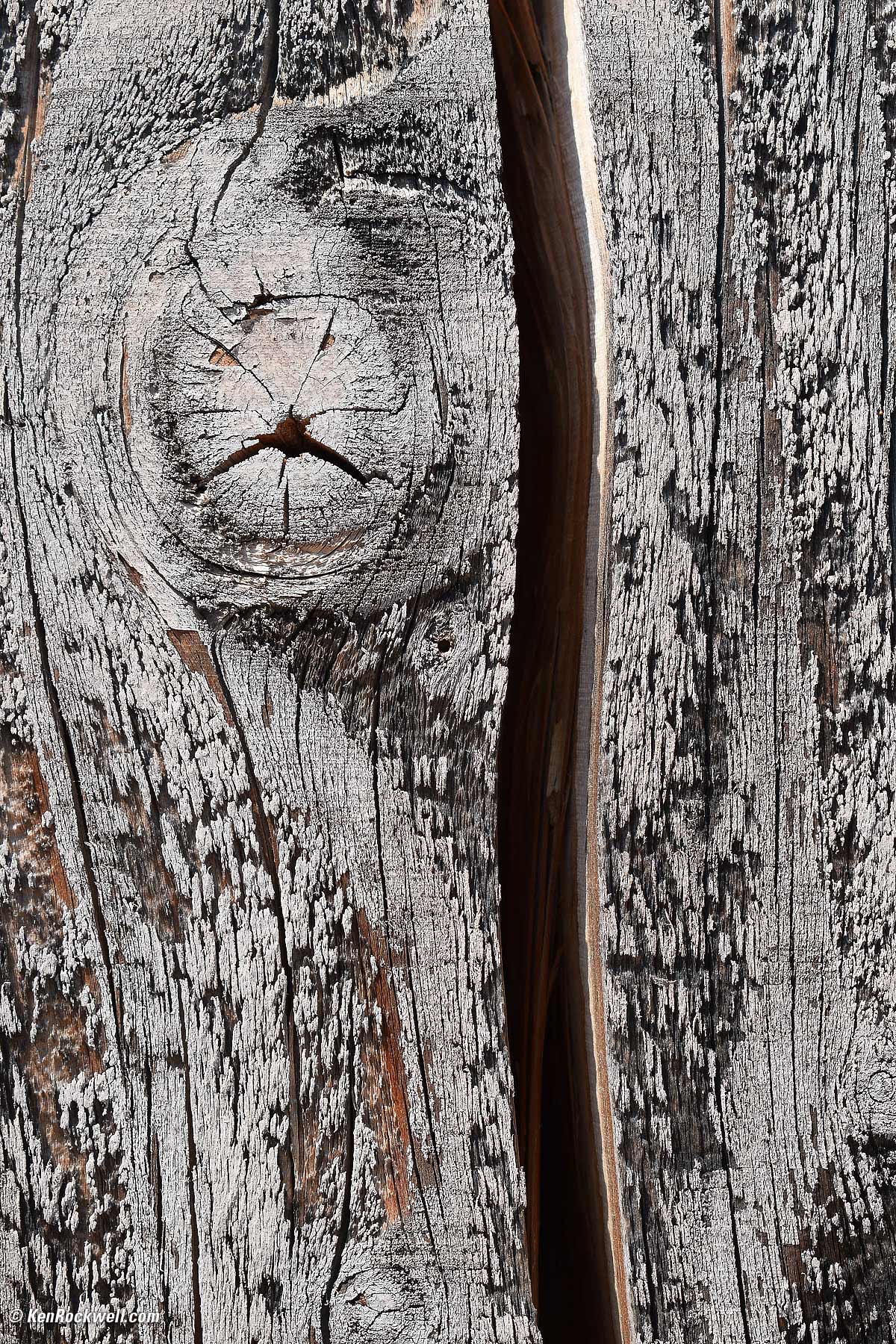 Nikon 18-55mm AF VR P Sample Image File