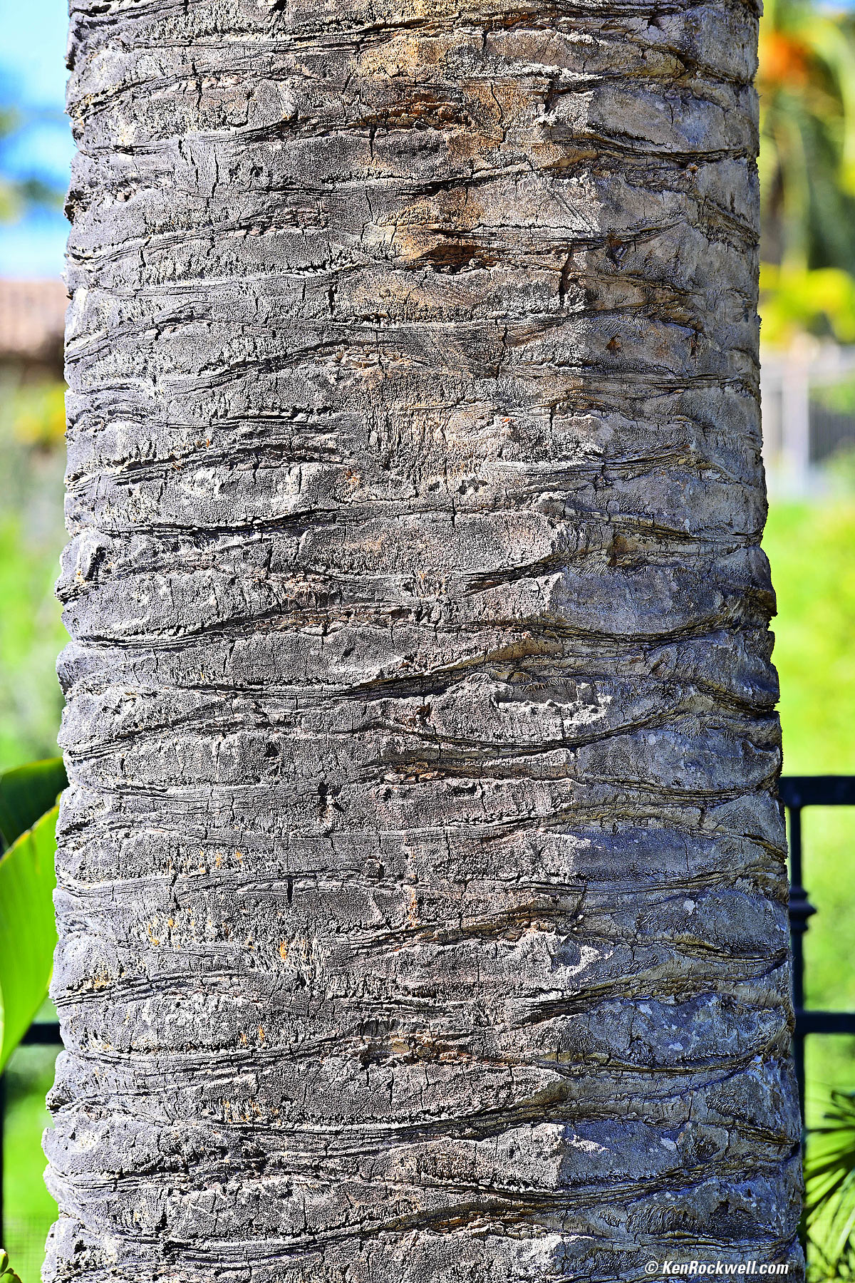 Nikon 180mm f/2.8 ED AI-s sample image file