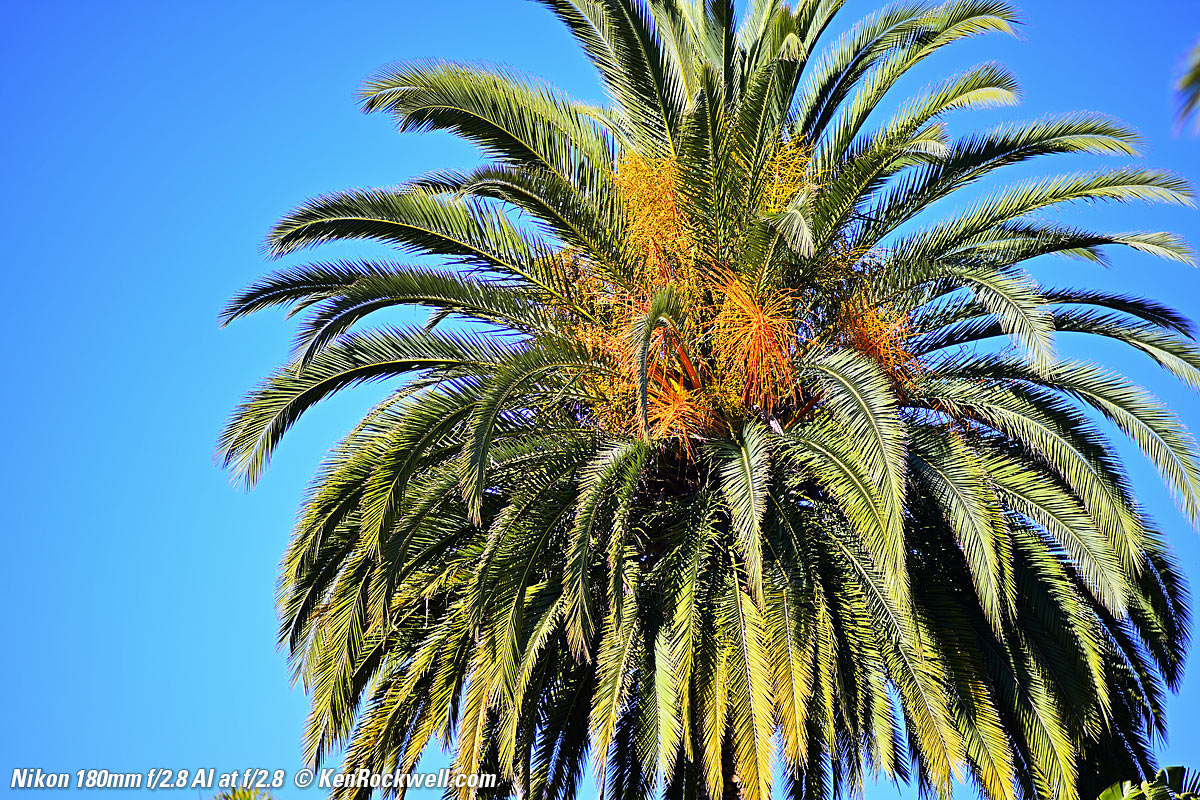 Nikon 180mm f/2.8 AI sample image file