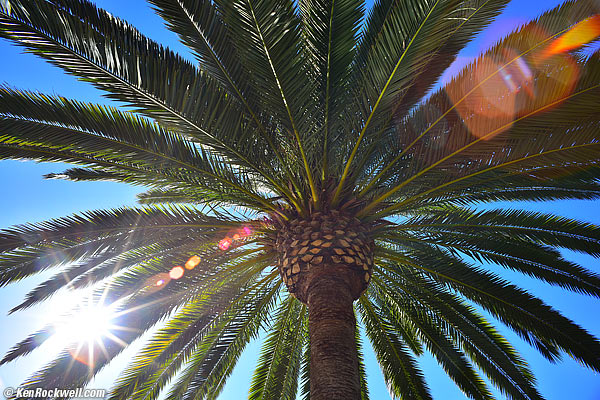 Nikon 18mm f/4 flare and ghosts, 10 Feb 2014 RP