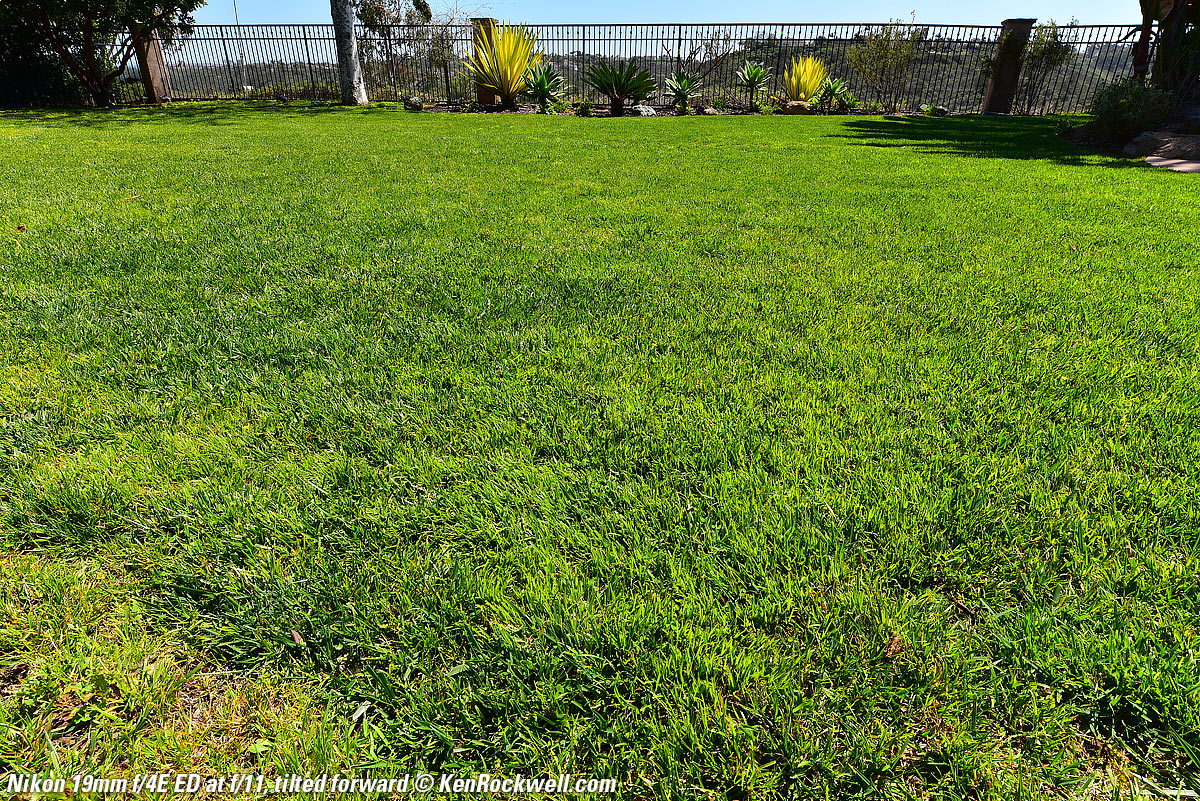 Nikon 19mm Tilt-Shift sample image