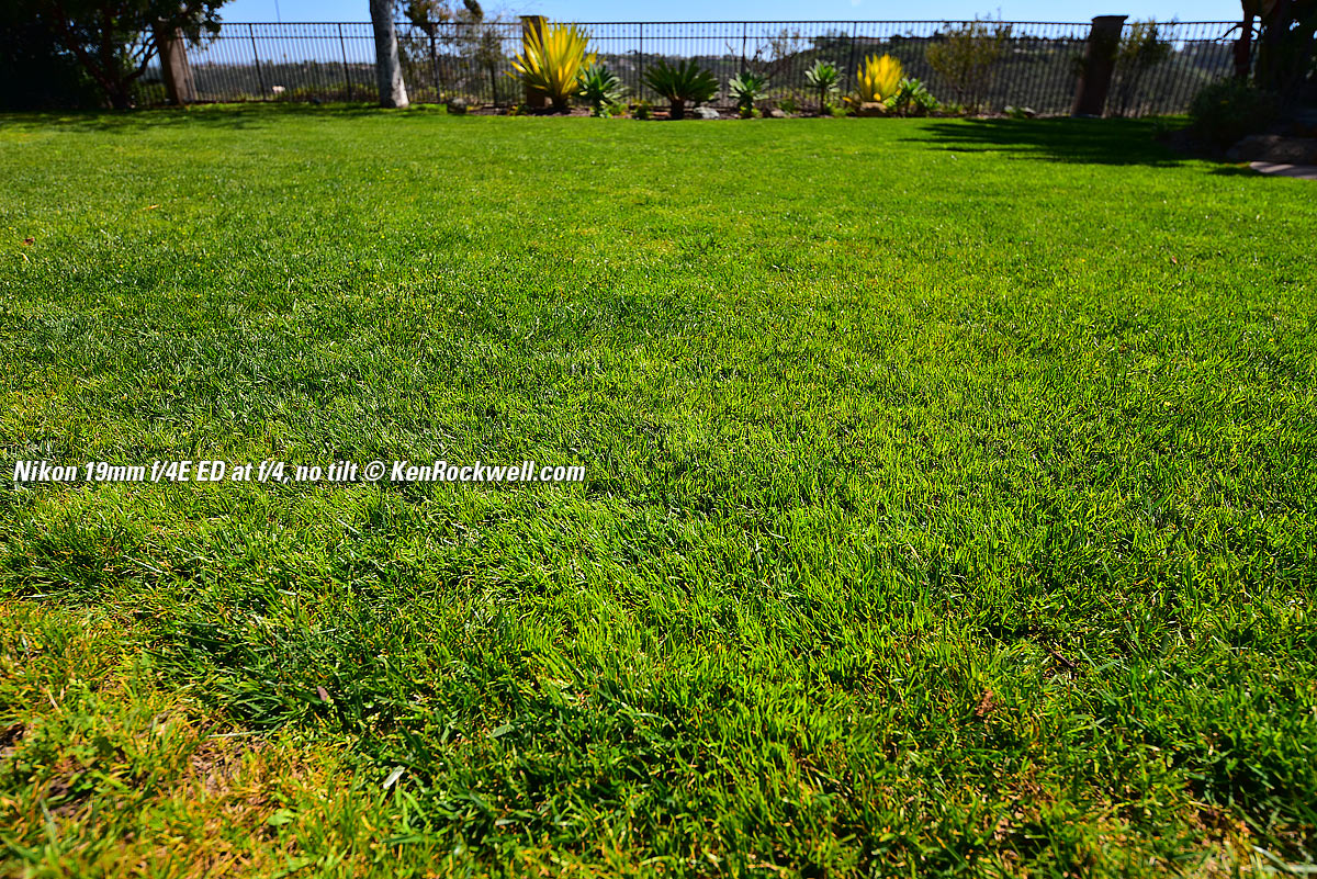 Nikon 19mm Tilt-Shift sample image