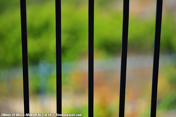 Nikon 200mm f/4 Micro bokeh
