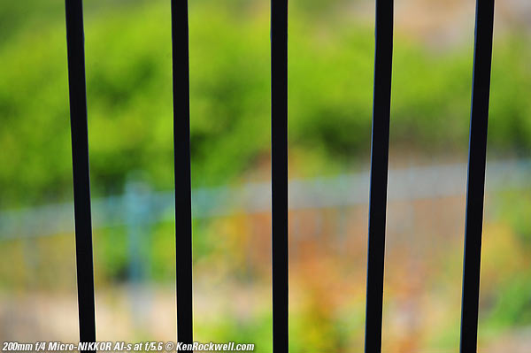 Nikon 200mm f/4 Micro bokeh