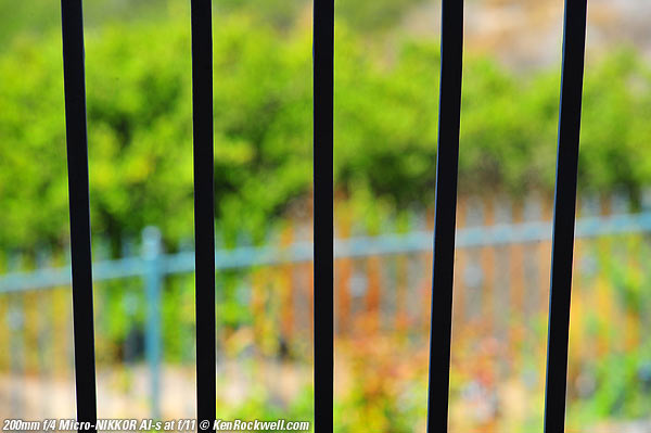 Nikon 200mm f/4 Micro bokeh