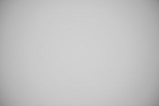 Nikon Z 24-70mm f/4 Falloff