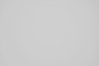 Nikon Z 24-70mm f/4 Falloff