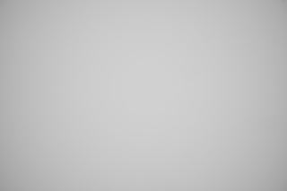 Nikon Z 24-70mm f/4 Falloff