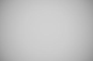 Nikon Z 24-70mm f/4 Falloff