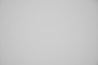 Nikon Z 24-70mm f/4 Falloff