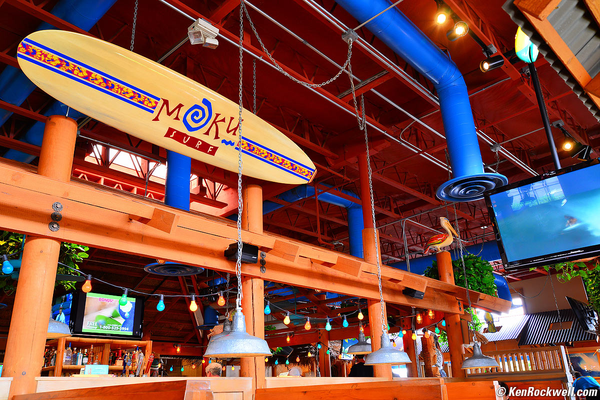 THe Bird Place, 14 July 2012