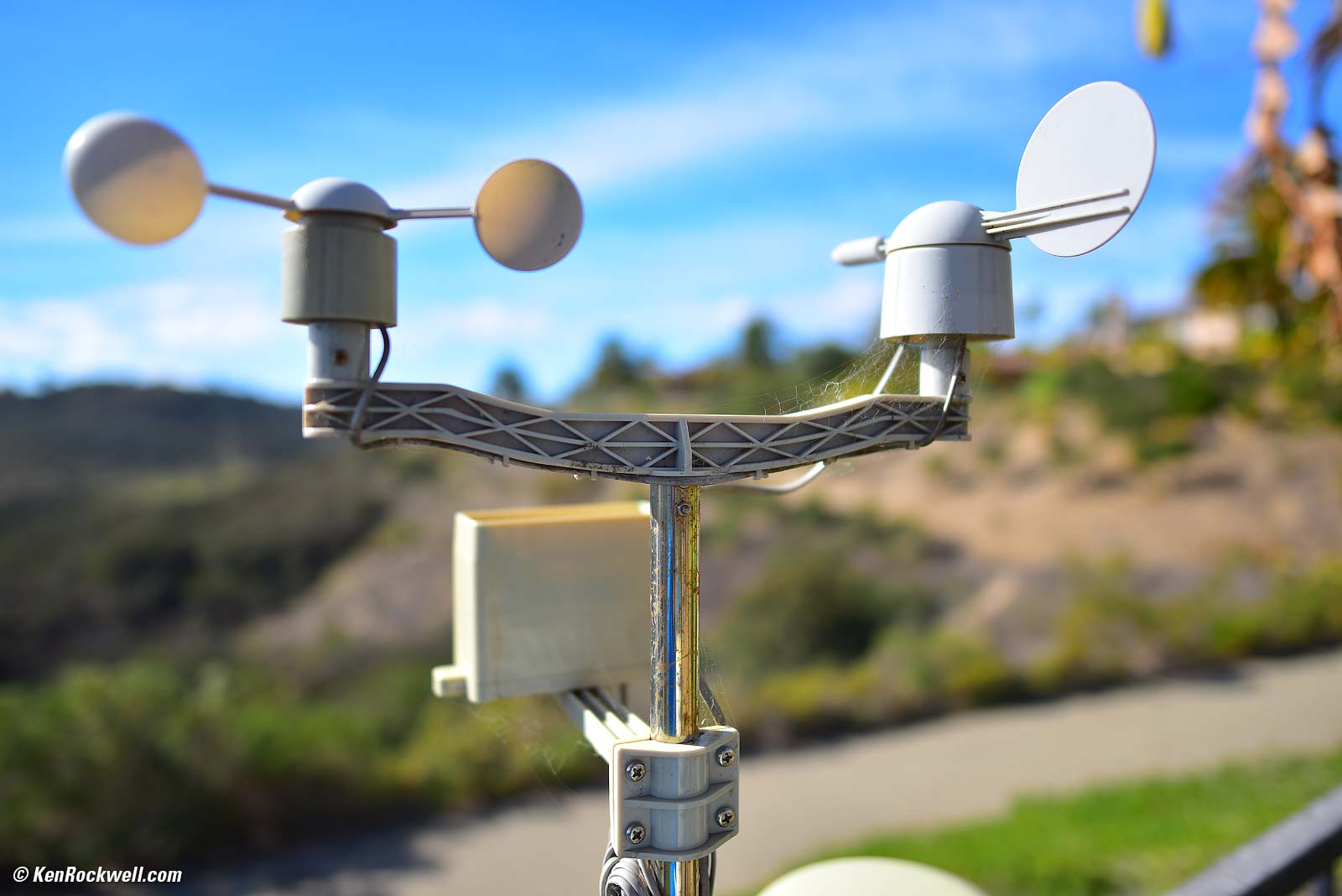 Brand MMmm  f/FF FEATURE Bokeh