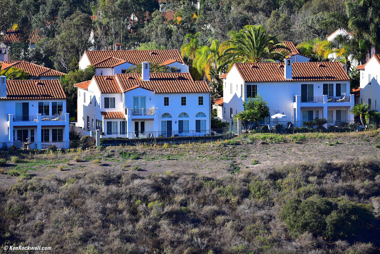 Nikon 300 2.8 sample image