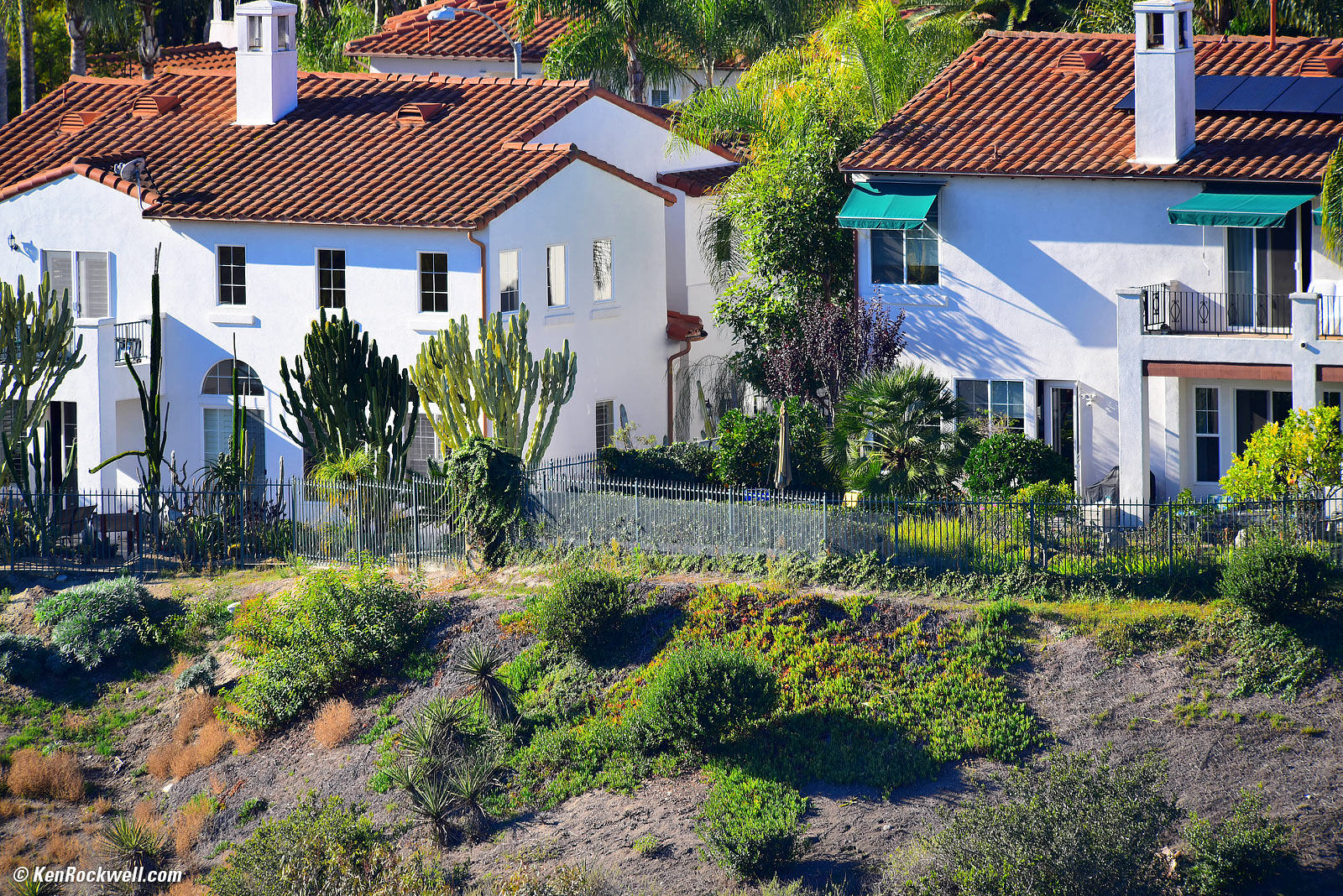 Nikon 300 2.8 sample imagewith TC-20E teleconverter