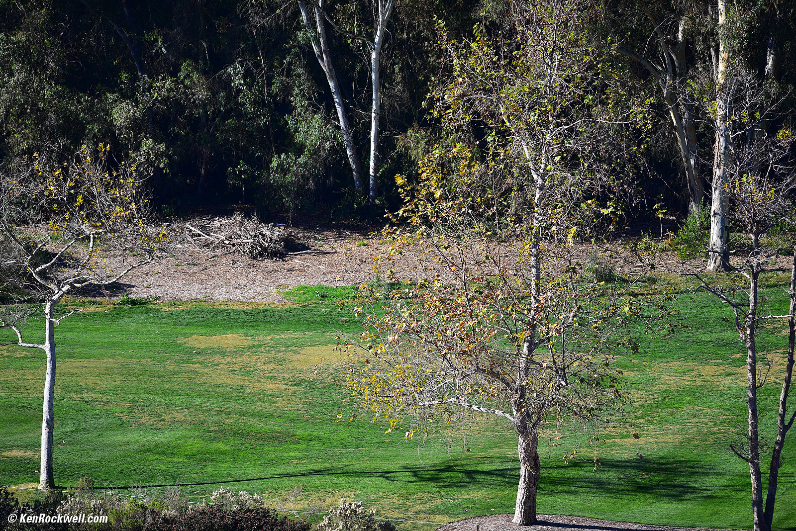 Nikon 300 2.8 sample image