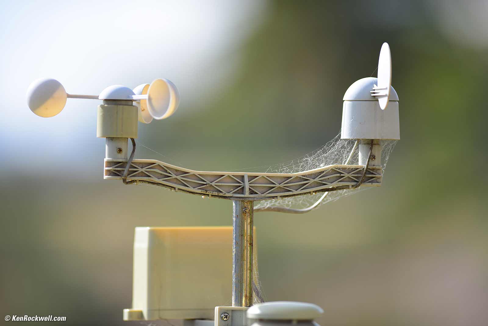 Nikon 300mm f/2.8 VR II Bokeh