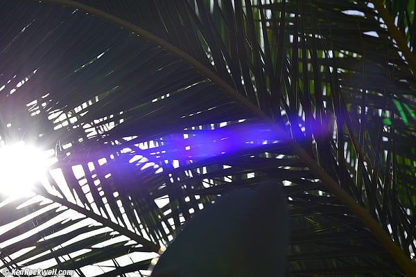 Nikon 300mm f/4 AF-S Ghosts