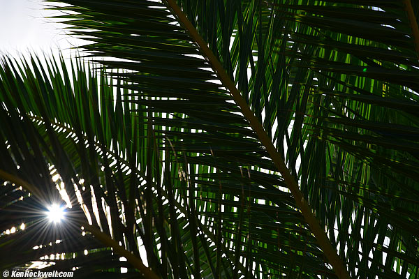 rocks RP 20 Nov 2014