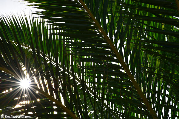 rocks RP 20 Nov 2014